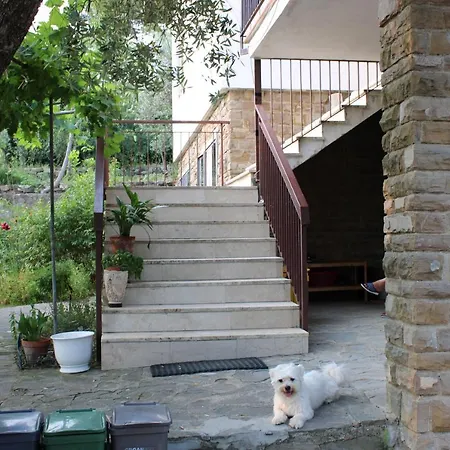 Bella Vista Bolognese Villa Trespiano Exterior photo