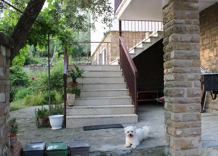 Bella Vista Bolognese
